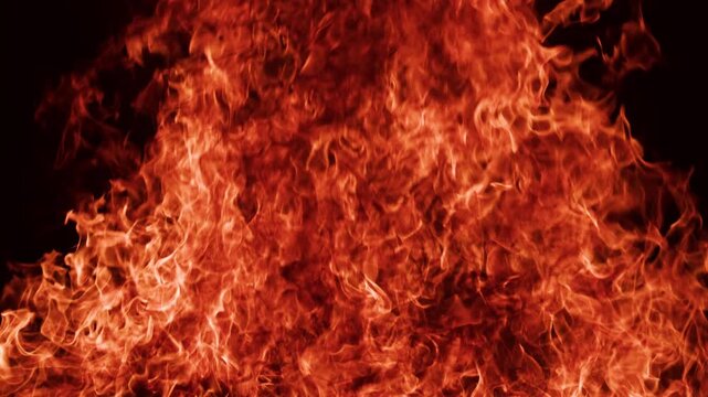 Fire flames against deep black background. Fire wall with bright orange combustion. Burning fire texture with intense heat. Abstract fire pattern with empty dark space.