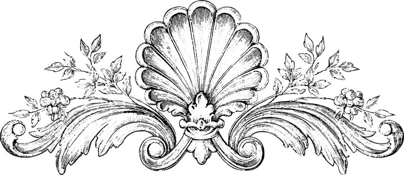 Antique engraved shell and floral ornament with scrollwork and leaves for vintage decorative border, flourish, design element and wallpaper background
