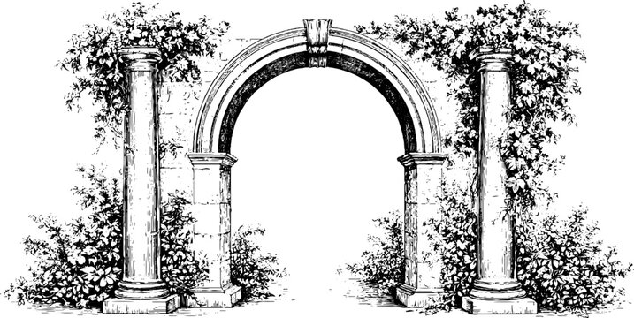 Engraved garden arch with stone columns and climbing vines isolated on white for wedding invitation background, landscape or romantic design use