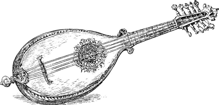 Antique cittern engraving isolated on white background for vintage musical instrument background poster book cover and educational design