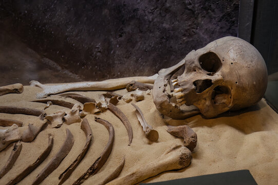 Old human skeleton in ancient tomb at archaeological excavation