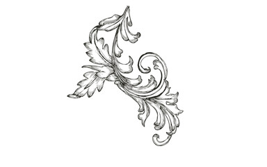 Vintage acanthus leaf scroll, baroque floral engraving on white background, antique victorian ornament for luxury branding and invitation design © Basit