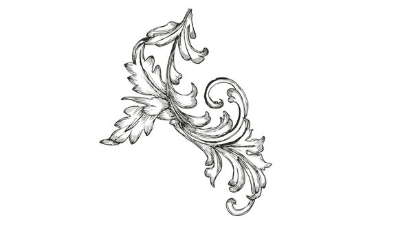 Vintage acanthus leaf scroll, baroque floral engraving on white background, antique victorian ornament for luxury branding and invitation design