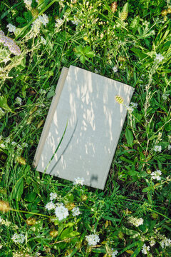 Book with light cover lying among green grass and wildflowers under sunlight