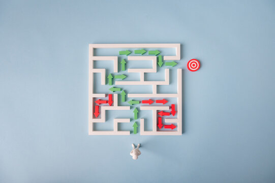 Problem solving and finding the right path through maze to target with correct and wrong choices