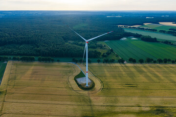 Obraz premium Wind turbines farm. Alternative renewable energy generation. Green energy concept. Organic harvest in farm field. Agricultural harvest. Crop cultivation. Wind turbines farm. Green energy