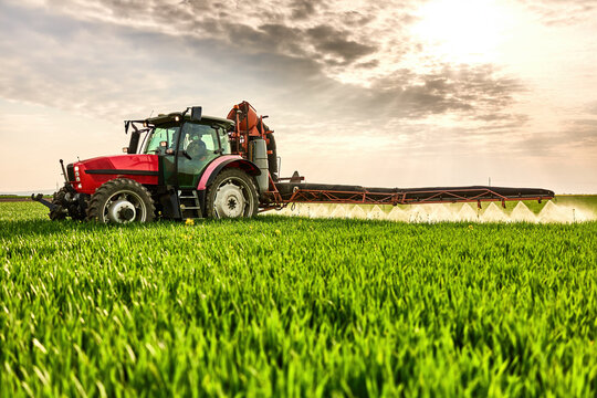 Tractor spraying agricultural field with chemicals, protecting crops for a good harvest