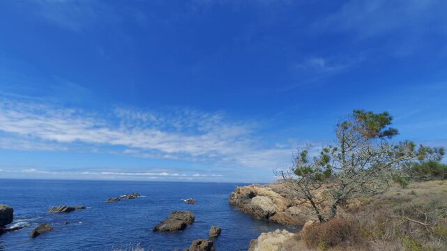view of Point Lobos, California