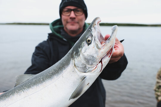 A proud man holds a large wild Coho salmon he caught on the Egegik River in Alaska, standing beside calm water in soft daylight that highlights the fish&rsquo;s silver body and the quiet wilderness around h