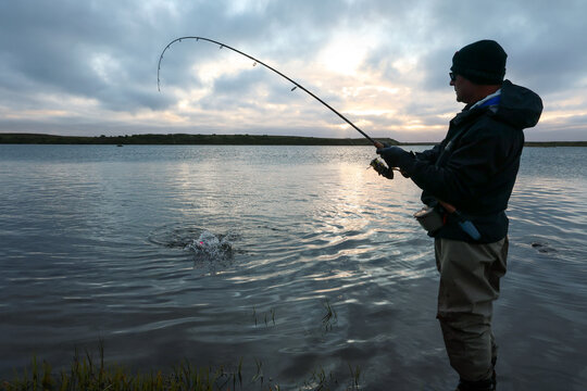 Angler stands in shallow water at sunrise, rod bent as fish pulls line, creating ripples across calm river surface in Alaska&rsquo;s serene wilderness.