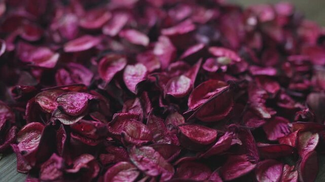 Dried red roses with vintage aesthetic on a dark wooden background