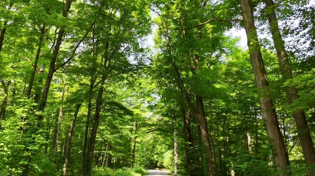 Green Lakes State Park - Every Direction A