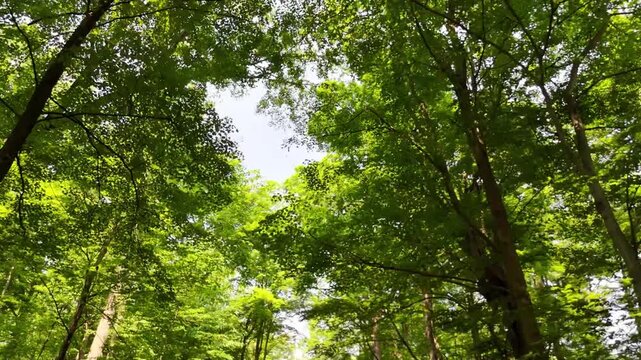 Green Lakes State Park - Cruising D