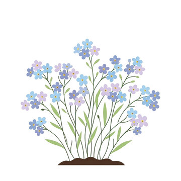 Illustration vectorielle d'un bouquet de fleurs myosotis bleues et violettes d&eacute;licates avec des tiges vertes et des feuilles, isol&eacute;es sur un fond blanc pur pour des projets de design printanier.