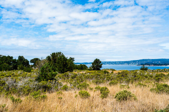 dry grassy meadow with clouds in blue sky