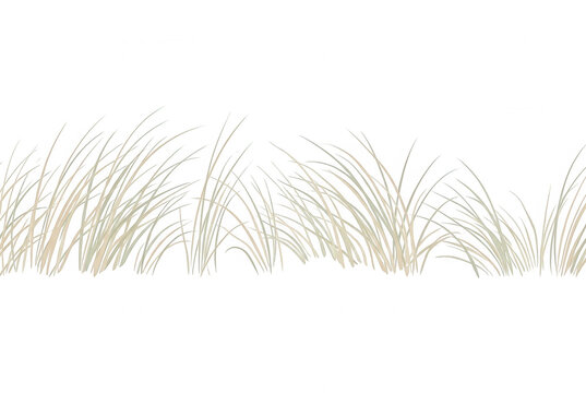 Eine minimalistische Illustration von trockenem D&uuml;nengras in sanften Beiget&ouml;nen, isoliert auf einem rein wei&szlig;en Hintergrund, ideal f&uuml;r moderne grafische Designs und nat&uuml;rliche Dekorationselemente.