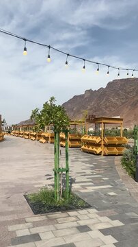 Empty Suq Al Uyun Market featuring a stone paved pedestrian walkway, wooden vendor stalls, newly planted trees, overhead string lights, and a dry mountain landscape backdrop in Medina, Saudi Arabia.