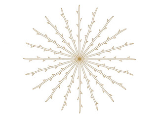 Fototapeta premium Un motivo floreale geometrico a forma di stella composto da rami spinosi disposti in modo radiale, con un design minimalista ed elegante su sfondo bianco puro, ideale per decorazioni grafiche moderne.