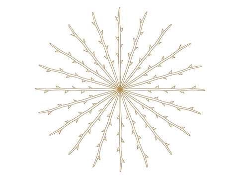 Un motivo floreale geometrico a forma di stella composto da rami spinosi disposti in modo radiale, con un design minimalista ed elegante su sfondo bianco puro, ideale per decorazioni grafiche moderne.