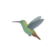 Fototapeta premium 白い背景に浮かぶハチドリのフラットデザインイラスト。緑と茶色の羽を持つ小さな鳥が翼を広げて空中でホバリングしている様子を、シンプルで洗練されたグラフィックアートスタイルで表現した、ウェブサイトやプレゼンテーションのアイコン素材として最適なベクター画像。
