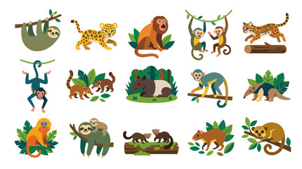 Fototapeta premium Flat Illustration Collection of Diverse South American Rainforest Animals Wildlife Icons Set