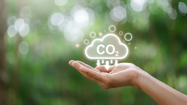 Hand holding digital co2 cloud icon with nature green background