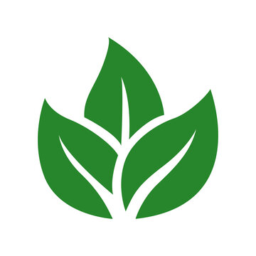 Three Leaves Eco Plant Vector Icon for Botanical Nature and Environment Concept