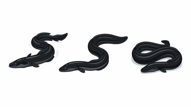 Three stylized illustrations of black eels in different poses on a white background.