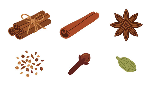 Aromatic baking and cooking spices vector icon set featuring cinnamon sticks tied with string star anise coriander seeds clove and green cardamom pod