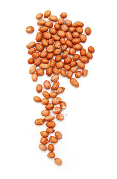 Dried peanuts in closeup on white