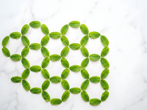 Fresh Green Mint Leaves Arranged in a Geometric Hexagonal Pattern on White Marble Surface