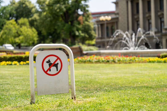 A no dogs allowed sign stands on a metal frame on the lawn of a city park, with a fountain and flowerbed visible in the background.