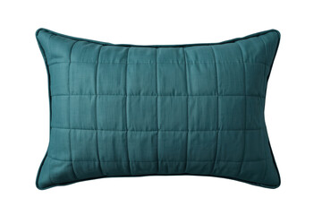 Obraz premium Dark Teal Padded Rectangular Pillow