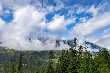 Obraz premium Low Clouds Over Forested Mountains in Washington State