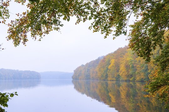 Autumn at Schmale Luzin, lake in Mecklenburg-Western Pomerania, Feldberg Lake District, Mecklenburg-Western Pomerania, Germany