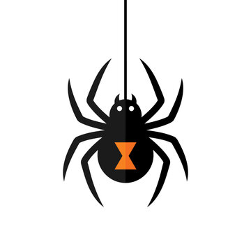 Black widow spider hanging on web icon AQ
