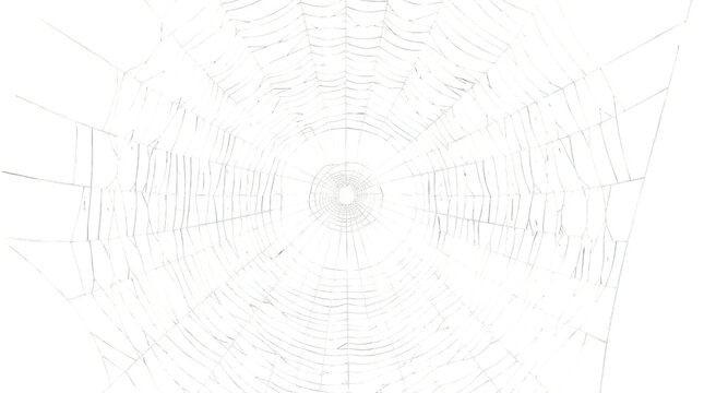 Spider Web with Dew Drops, Intricate Nature Texture and Architectural Line Pattern Inspired by Blueprint Design, Technical Drawing, Engineering Sketch, Construction and Technology Concepts