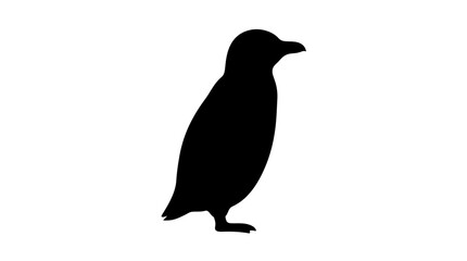 Fototapeta premium A simple black silhouette of a penguin isolated on a white background, perfect for graphic design and nature projects