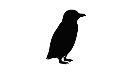 Fototapeta premium Black silhouette of a cute penguin standing isolated on a pure white background for design vector