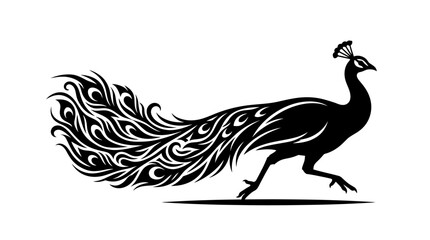 Fototapeta premium Elegant black peacock silhouette with intricate ornamental tail feathers design isolated on a white background