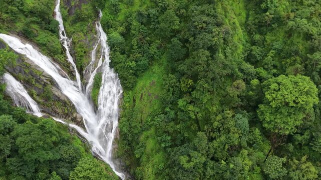 Aerial view of dense forest shrouded in morning mist, with fog weaving through trees and rolling hills. Vibrant green foliage contrasts with soft white clouds