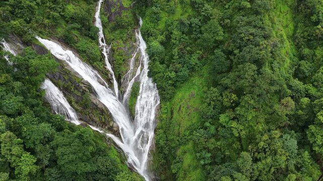 Aerial view of dense forest shrouded in morning mist, with fog weaving through trees and rolling hills. Vibrant green foliage contrasts with soft white clouds