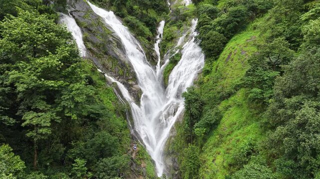 Aerial view of dense forest shrouded in morning mist, with fog weaving through trees and rolling hills. Vibrant green foliage contrasts with soft white clouds