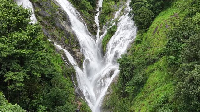 Aerial view of dense forest shrouded in morning mist, with fog weaving through trees and rolling hills. Vibrant green foliage contrasts with soft white clouds