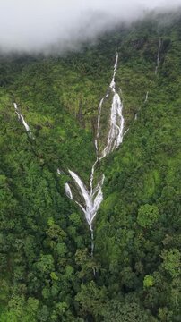 Aerial view of dense forest shrouded in morning mist, with fog weaving through trees and rolling hills. Vibrant green foliage contrasts with soft white clouds