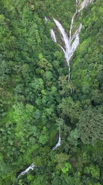 Aerial view of dense forest shrouded in morning mist, with fog weaving through trees and rolling hills. Vibrant green foliage contrasts with soft white clouds