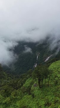 Aerial view of dense forest shrouded in morning mist, with fog weaving through trees and rolling hills. Vibrant green foliage contrasts with soft white clouds