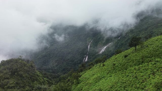 Aerial view of dense forest shrouded in morning mist, with fog weaving through trees and rolling hills. Vibrant green foliage contrasts with soft white clouds