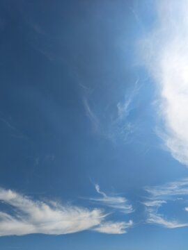 Vibrant deep blue sky background framed by wispy white cirrus clouds along the bottom with generous open copy space, perfect for nature backdrops, outdoor concepts, graphic design, and summer themes.