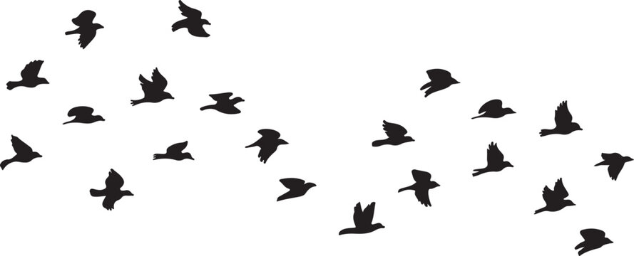 Isolated flock of birds silhouettes flying together in a decorative arrangement